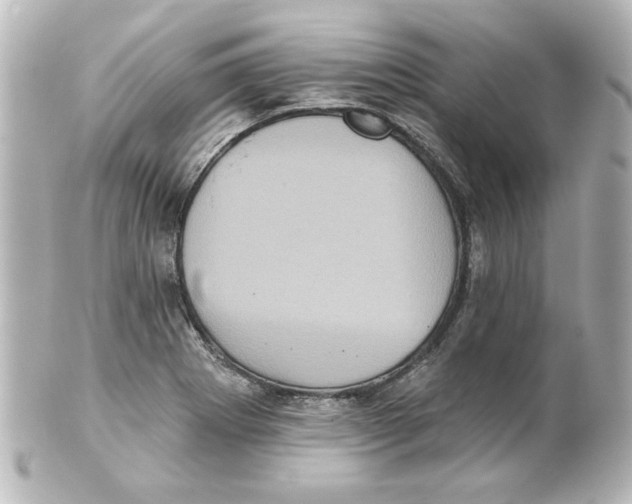 X0000101451273200808041010