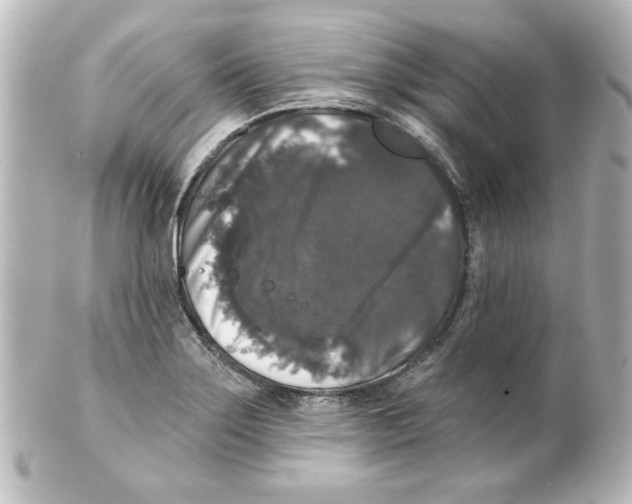 X0000101451275200808041010