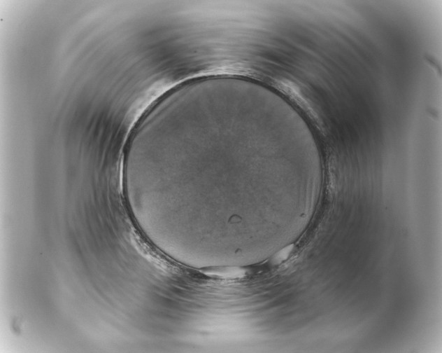 X0000101451276200808041010