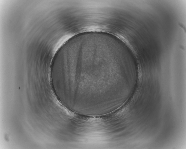 X0000101451277200808041010