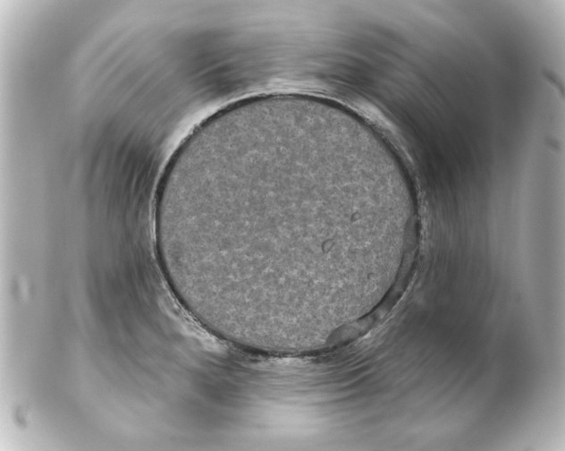 X0000101451280200808041010