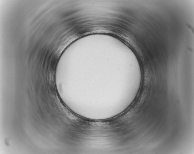 X0000101451281200808041010