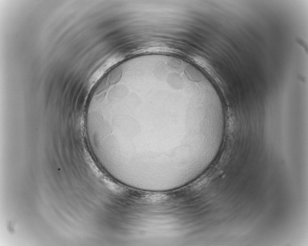 X0000101451282200808041010