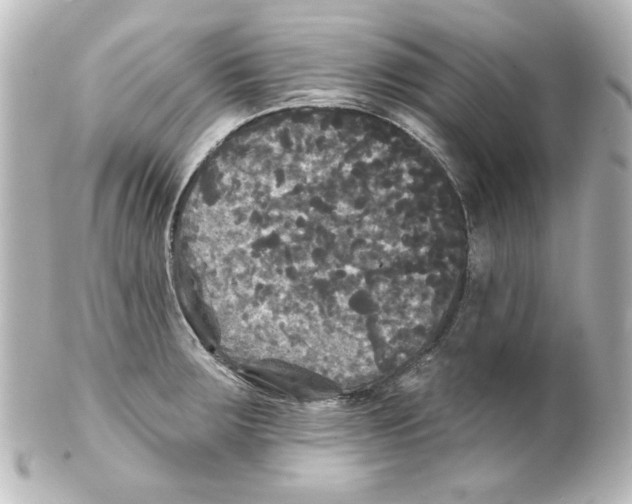 X0000101451283200808041010