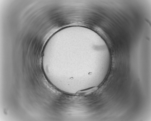 X0000101451284200808041010