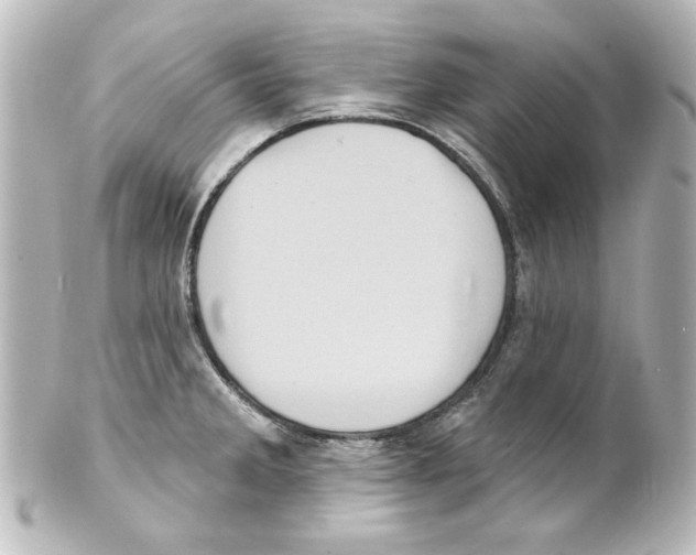 X0000101451285200808041010