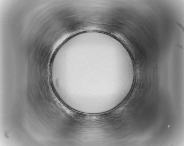 X0000101451286200808041010