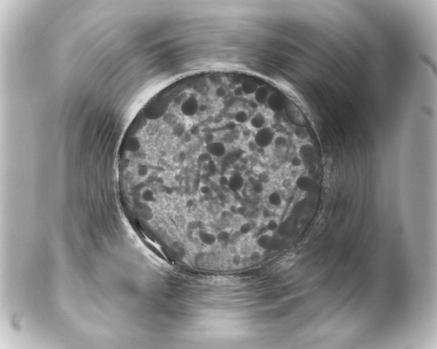 X0000101451287200808041010