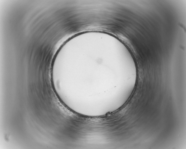 X0000101451288200808041010