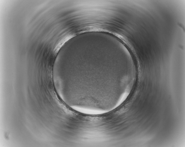 X0000101451289200808041010