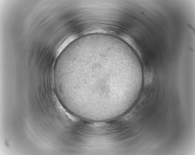 X0000101451290200808041010