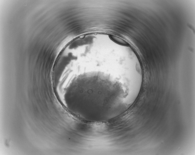 X0000101451291200808041010