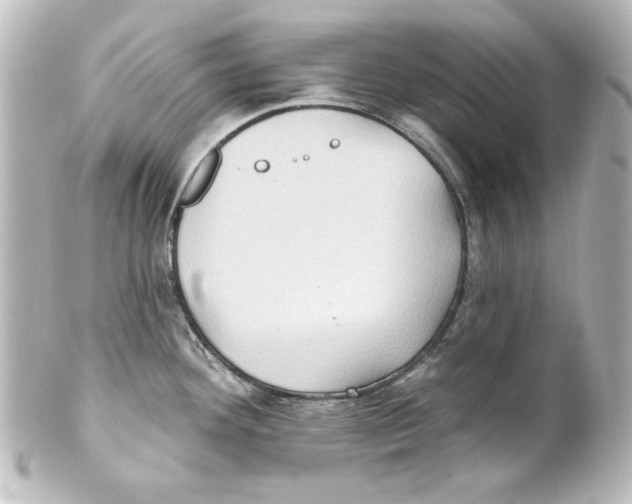 X0000101451292200808041010