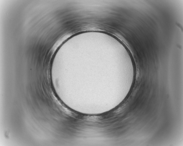 X0000101451293200808041010