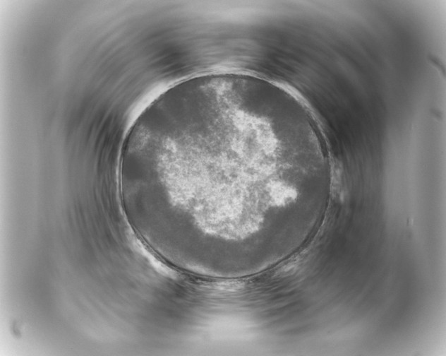 X0000101451294200808041010