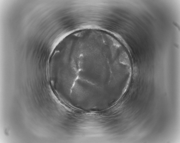 X0000101451295200808041010