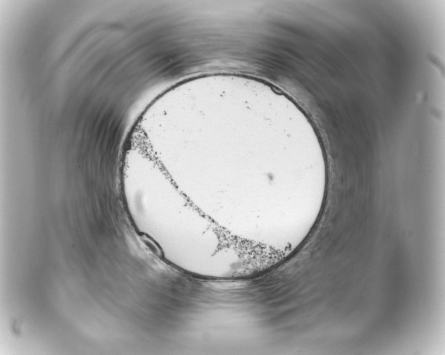 X0000101451296200808041010