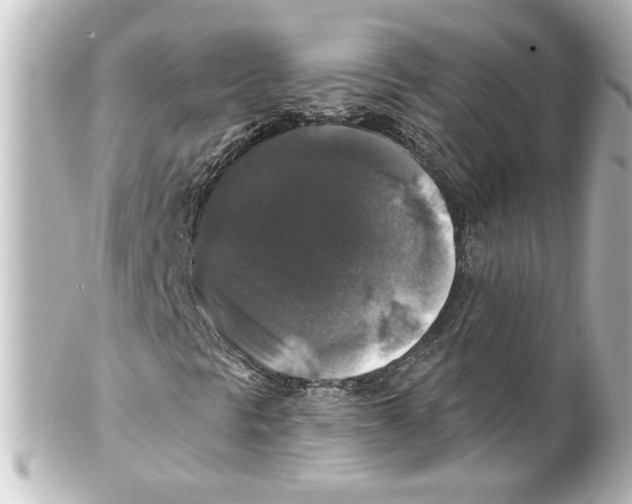 X0000101451297200808041009