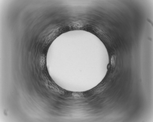 X0000101451299200808041009