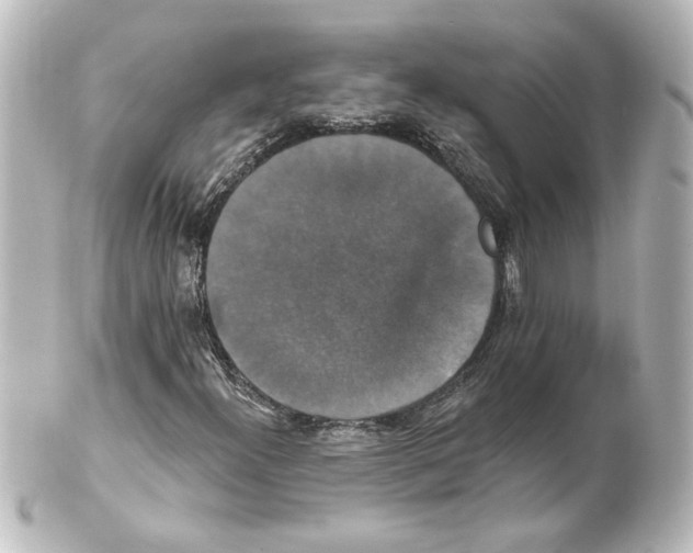 X0000101451300200808041009