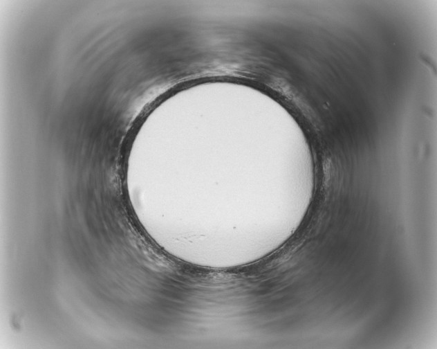 X0000101451308200808041009