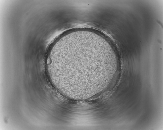 X0000101451311200808041009