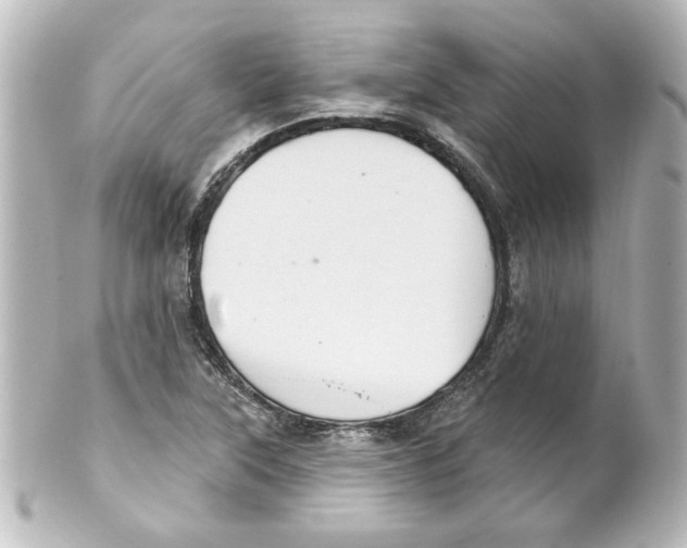 X0000101451315200808041009