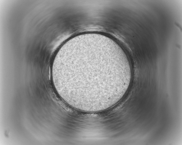 X0000101451317200808041009