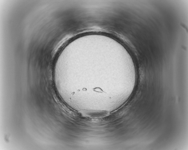 X0000101451318200808041009