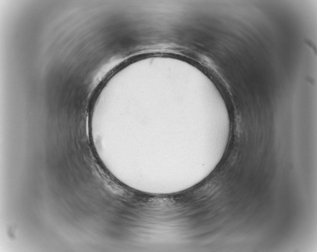 X0000101451320200808041009