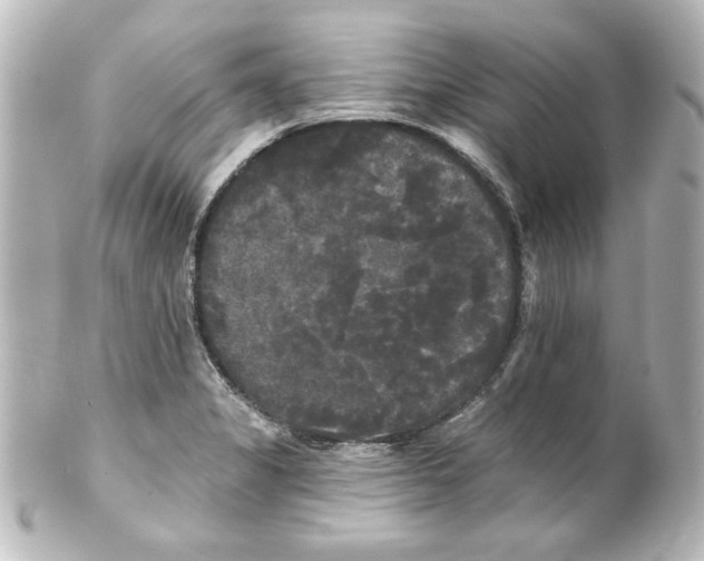 X0000101451325200808041009