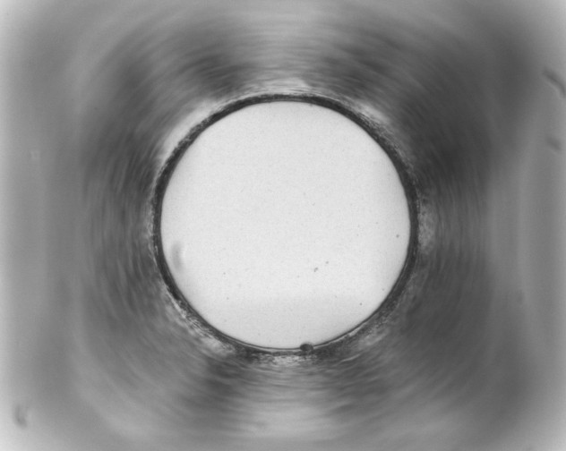 X0000101451326200808041009