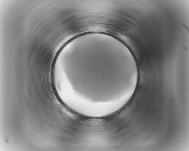 X0000101451331200808041010