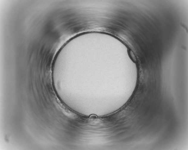 X0000101451332200808041010