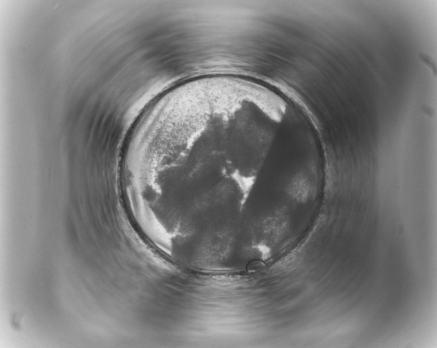 X0000101451333200808041010