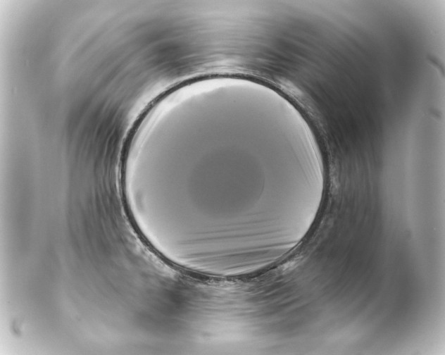 X0000101451334200808041010