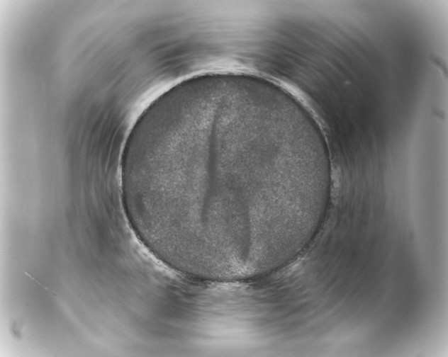 X0000101451335200808041010