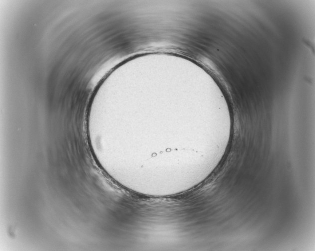 X0000101451336200808041010