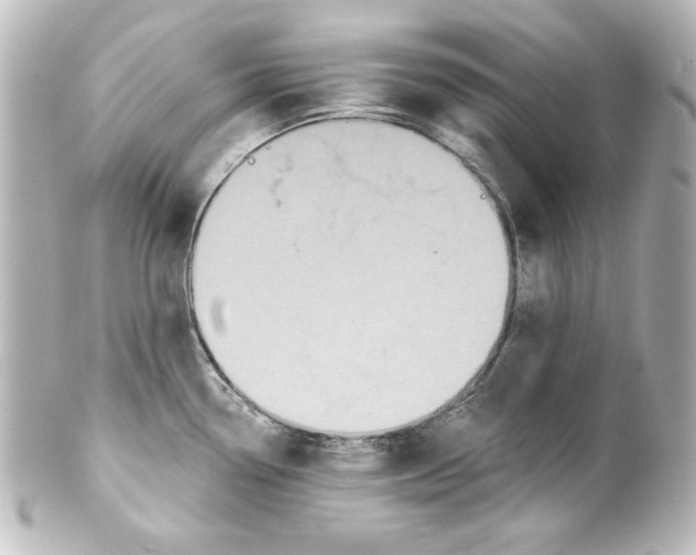 X0000101451338200808041010