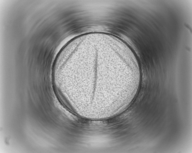 X0000101451339200808041010