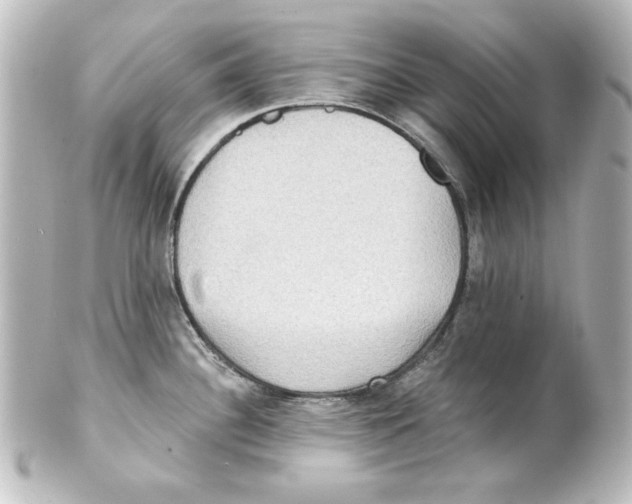 X0000101451340200808041010