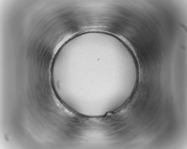 X0000101451341200808041010