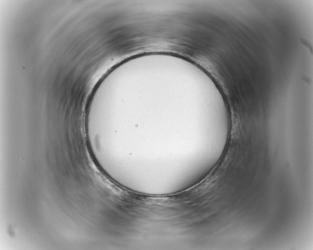 X0000101451342200808041010