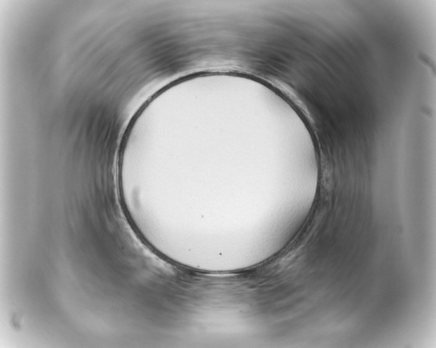 X0000101451343200808041010