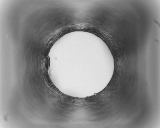 X0000101451349200808041009