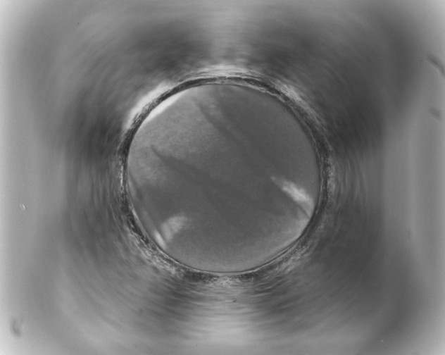 X0000101451358200808041009