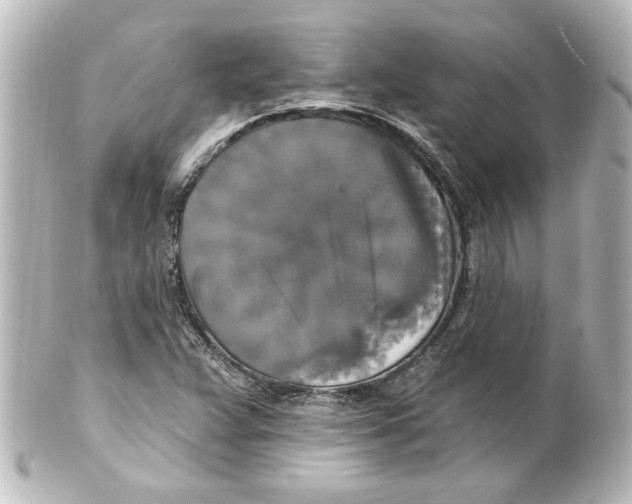 X0000101451359200808041009