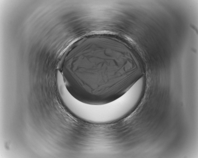 X0000101451361200808041009