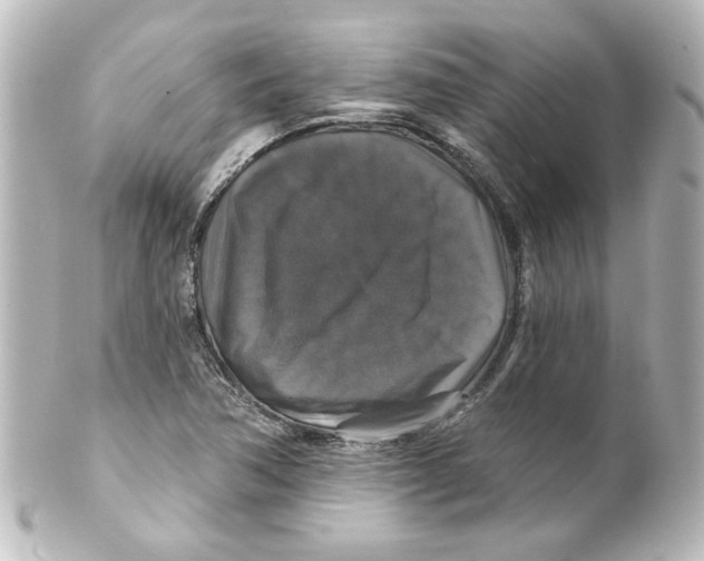 X0000101451362200808041009