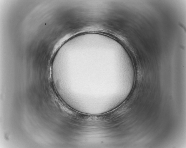 X0000101451366200808041009